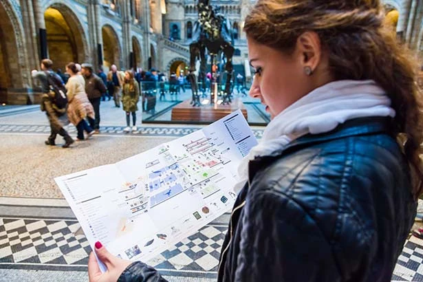 Person looking at map